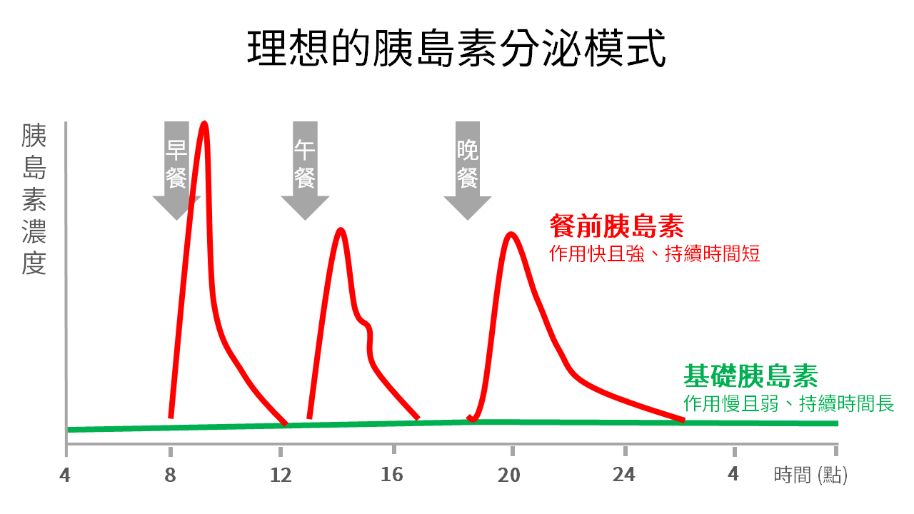 理想的胰島素分泌模式。