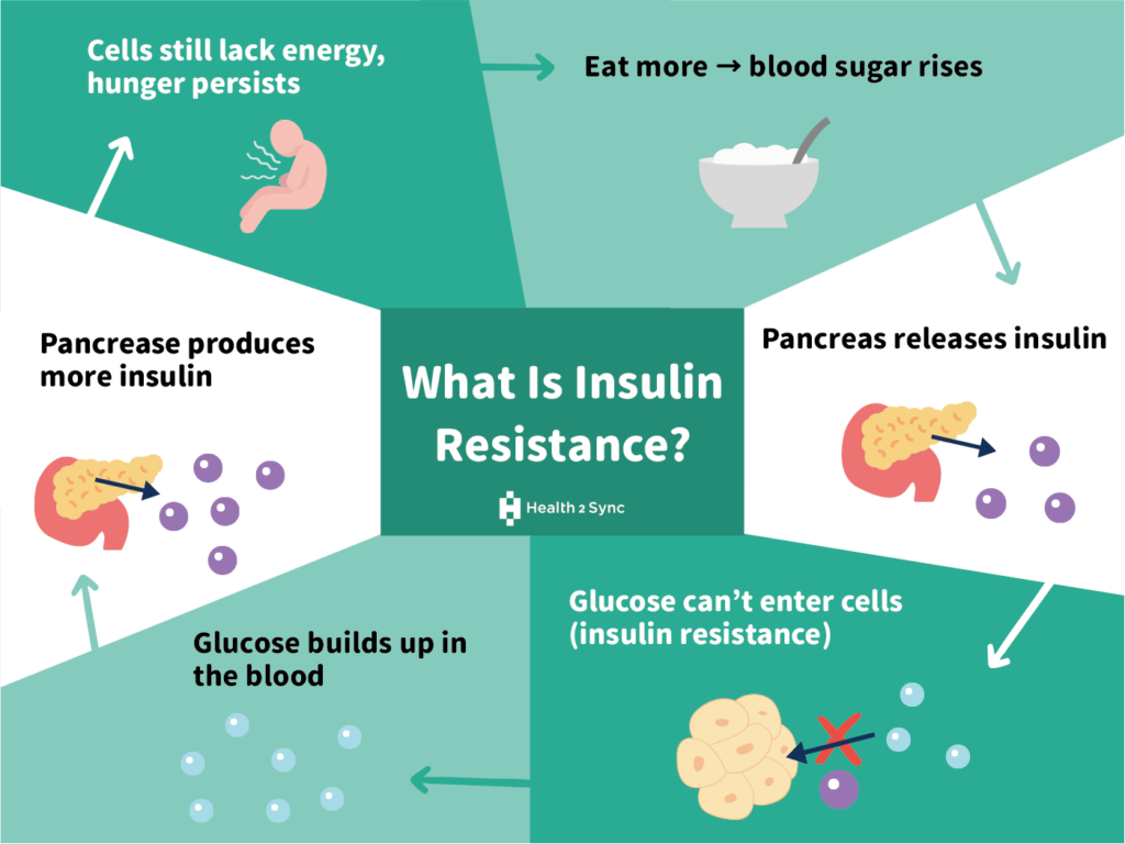 Cycle of insulin resistance.