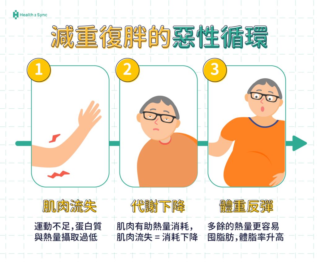 減重復胖的惡性循環