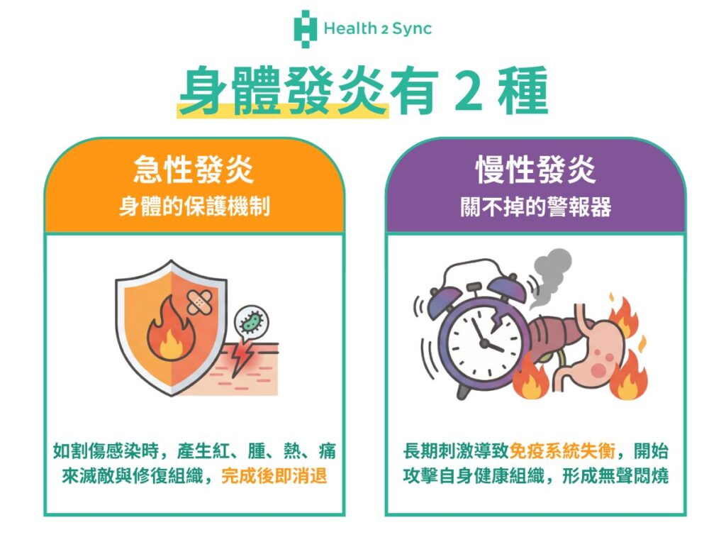 一般發炎可以區分成急性發炎與慢性發炎： 急性發炎： 是身體的保護機制。當割傷手或細菌感染時，白血球會迅速集結，產生紅、腫、熱、痛，目的是消滅外敵並修復組織。任務完成後，發炎就會消退。 慢性發炎： 是身體的警示器，長期暴露在刺激源下，導致發炎反應關不掉。這時免疫細胞會開始攻擊健康的組織，形成長期的、低劑量的發炎狀態。