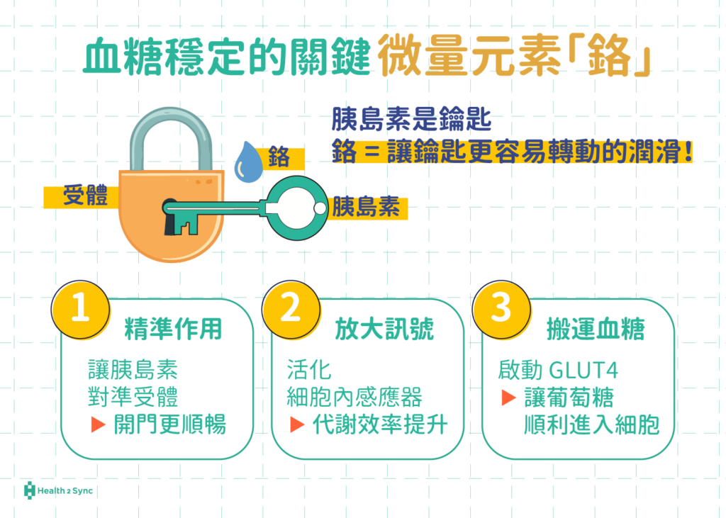胰島素是鑰匙，鉻是讓鑰匙更容易轉動的潤滑