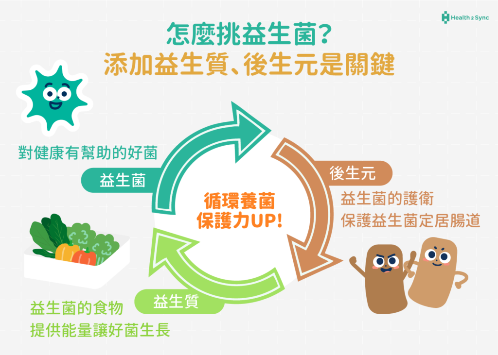 怎麼挑選益生菌？添加益生質、後生元是養菌關鍵